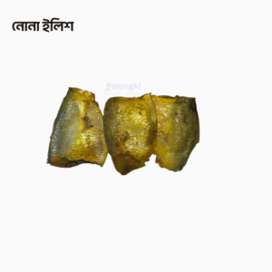 Chak Lona Elish
